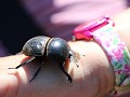 IMG 7568