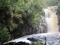 IMG 7681