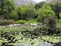 IMG 7686