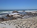 IMG 9708