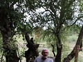 ontbijt op terras met zicht op de bush