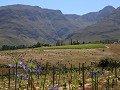IMG 9989