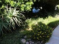 IMG 9786