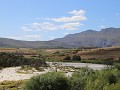 IMG 0494