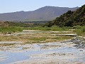 IMG 0489