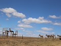 IMG 0474