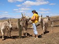 IMG 0479
