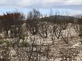 IMG 7708