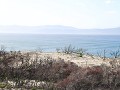 IMG 7707