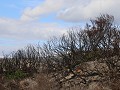 IMG 7704