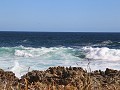 IMG 0620
