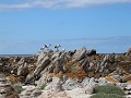 IMG 0575