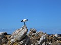 IMG 0598