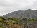 IMG 0543
