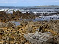 IMG 0521