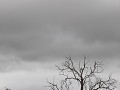 IMG 8095