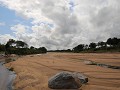 IMG 8491