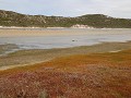 IMG 0092