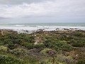 IMG 0113