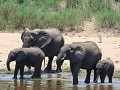 AE6A6135