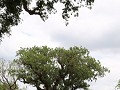 IMG 8890