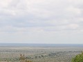 IMG 8947