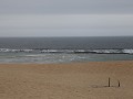 IMG 0677