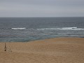 IMG 0678