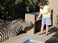 IMG 8538