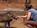 IMG 7654