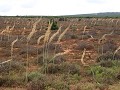 IMG 0704