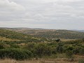 IMG 0699