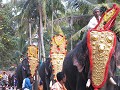 een schitterend processie in Varkala-dorp ...