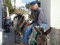 Auch bei unserem Wohnhaus zog die Maultierkaravann