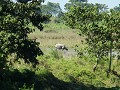 Auf der Fahrt in den Kaziranga National Park sahen