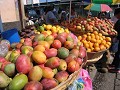 Mango-Zeit in Nicaragua. 5 Sorten-Zuckersuess