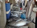 Thunfisch, Baracuda, Makrelen, Snapper, Meeräschen