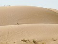 Die grösste, mit 650'000 km zusammenhängende Wüste