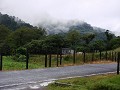 Nebel und Regen begleitete uns in Volcan und Boque