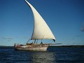 Das typische Segel-Fischerboot (Dhau)