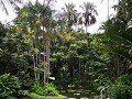Volgende botanische tuin, een erg grote. Ik verble