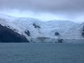 South Shetland Islands, Elephant Island, Point Wil
