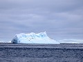 Antarctica, Paulet Island, Zodiac tour, Adelie pin