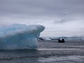 Antarctica, Paulet Island, Zodiac tour tussen ijsb