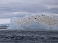 Antarctica, Paulet Island, Zodiac tour, ijsberg me