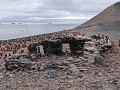Antarctica, Paulet Island, ruïne hutje Zweedse exp