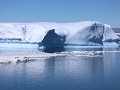 Antarctica, Antarctic Sound, ijsbergen met Adelie 