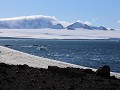 Antarctica, Brown Bluff  