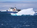 Antarctica, Brown Bluff, Plancius tussen ijsbergen