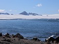 Antarctica, Brown Bluff  
